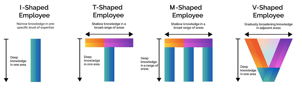 Employee shapes of knowledge depth versus breadth