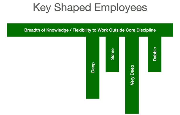 Key shaped employees knowledge depth and breadth